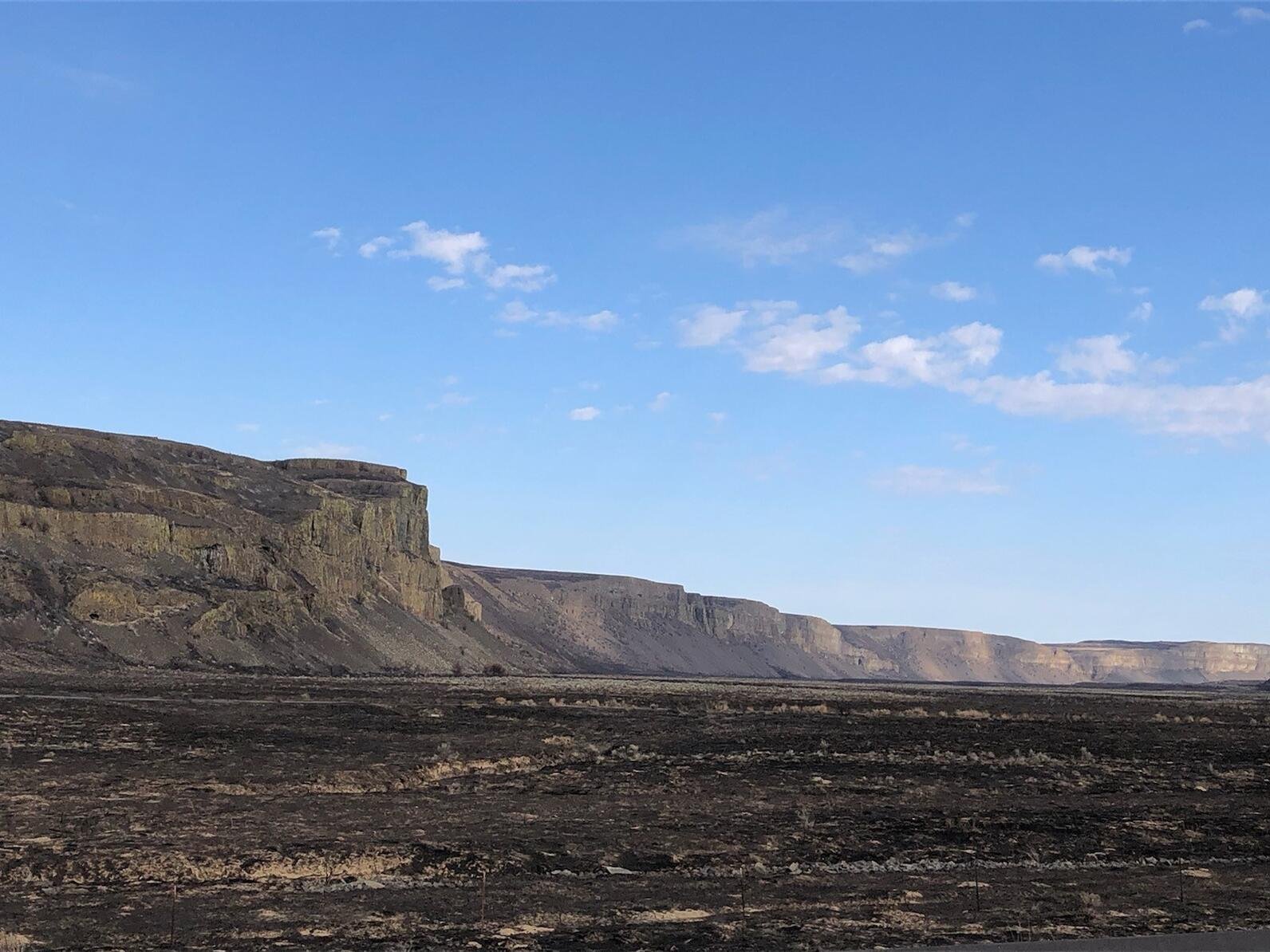 Moses Coulee after fire