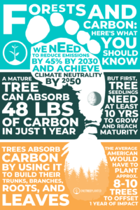 Forests and Carbon infographic