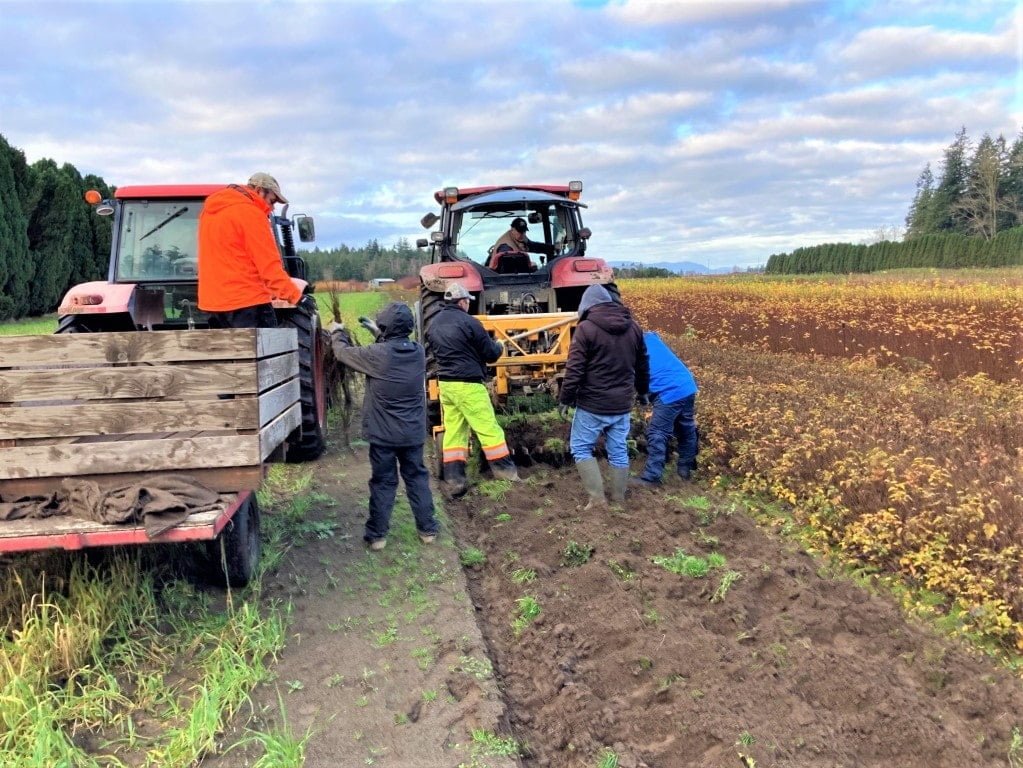 Harvest 12.2.21